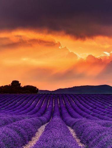 Hotel Le Relais Du Luberon Maubec  Dış mekan fotoğraf