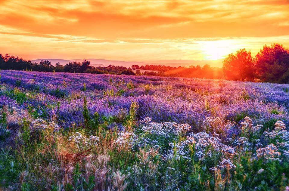 Hotel Le Relais Du Luberon Maubec  Dış mekan fotoğraf